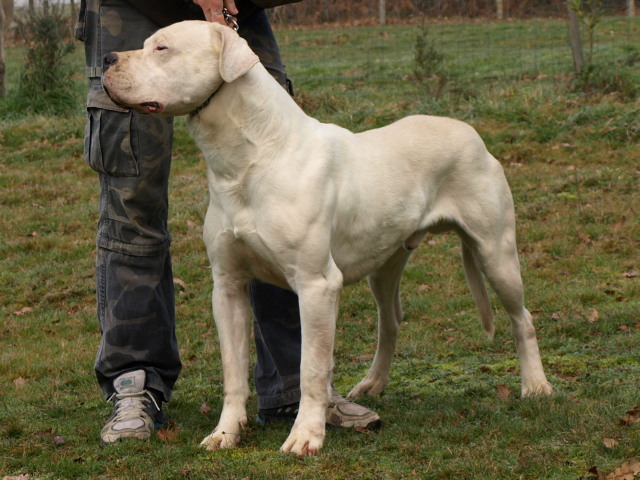 Publication : of kylian's creek Auteur : Mr Demaret ( Fayacan cahuak )