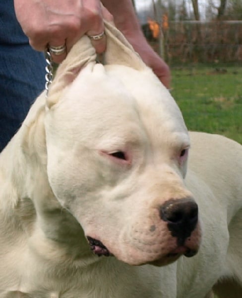 Publication : of kylian's creek Auteur : Mr Demaret ( Fayacan cahuak )