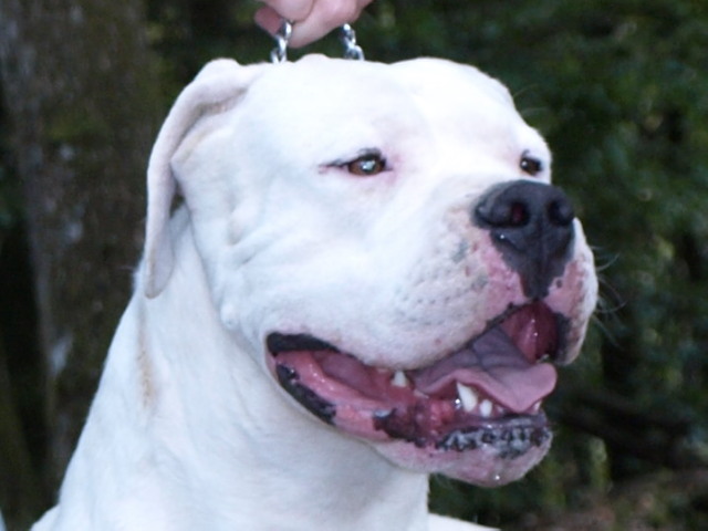 Publication : of kylian's creek Auteur : Mr Demaret ( Fayacan cahuak )