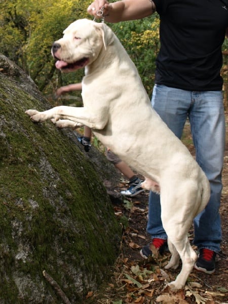 Publication : of kylian's creek Auteur : Mr Demaret ( Fayacan cahuak )