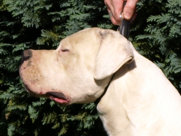 Publication : of kylian's creek Auteur : Mr Demaret ( Fayacan cahuak )