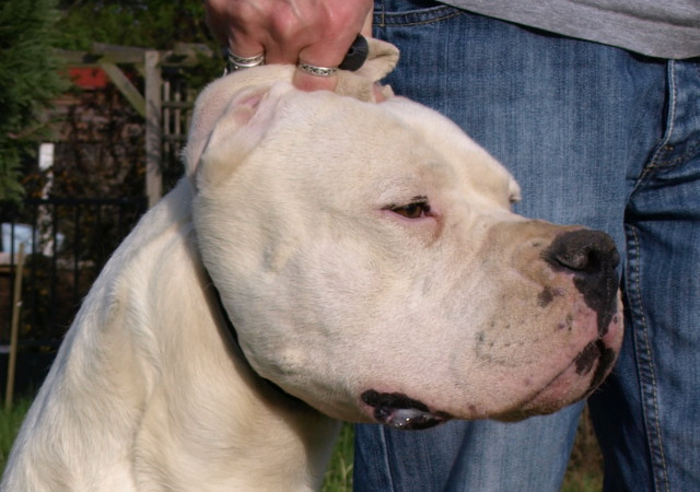 Publication : of kylian's creek Auteur : Mr Demaret ( Fayacan cahuak )