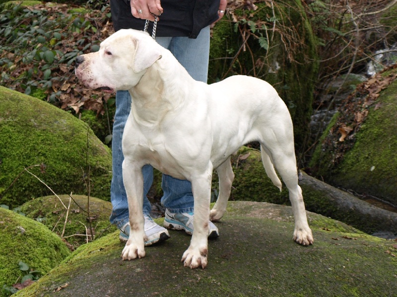 Publication : of kylian's creek Auteur : Mr Demaret ( Fayacan cahuak )