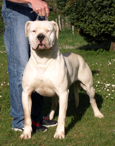 Publication : of kylian's creek Auteur : Mr Demaret ( Fayacan cahuak )