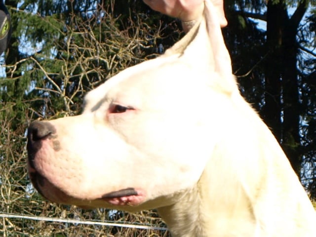 Publication : of kylian's creek Auteur : Mr Demaret ( Fayacan cahuak )