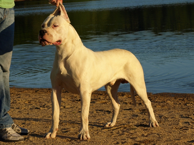 Publication : of kylian's creek Auteur : Mr Demaret ( Fayacan cahuak )