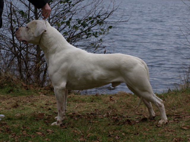 Publication : of kylian's creek Auteur : Mr Demaret ( Fayacan cahuak )