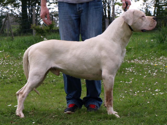 Publication : of kylian's creek Auteur : Mr Demaret ( Fayacan cahuak )