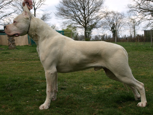 Publication : of kylian's creek Auteur : Mr Demaret ( Fayacan cahuak )