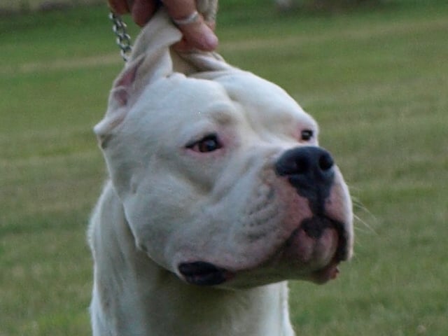 Publication : of kylian's creek Auteur : Mr Demaret ( Fayacan cahuak )