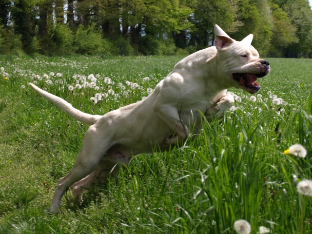 Publication : of kylian's creek Auteur : Mr Demaret ( Fayacan cahuak )