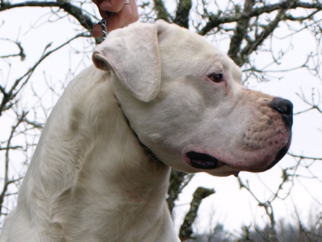 Publication : of kylian's creek Auteur : Mr Demaret ( Fayacan cahuak )