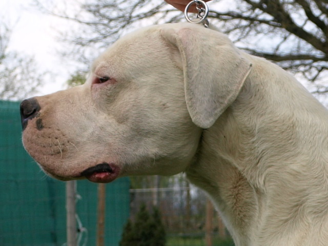 Publication : of kylian's creek Auteur : Mr Demaret ( Fayacan cahuak )