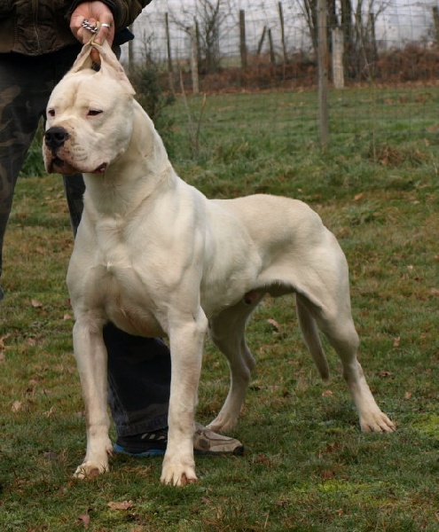 Publication : of kylian's creek Auteur : Mr Demaret ( Fayacan cahuak )