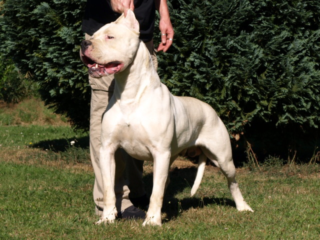 Publication : of kylian's creek Auteur : Mr Demaret ( Fayacan cahuak )