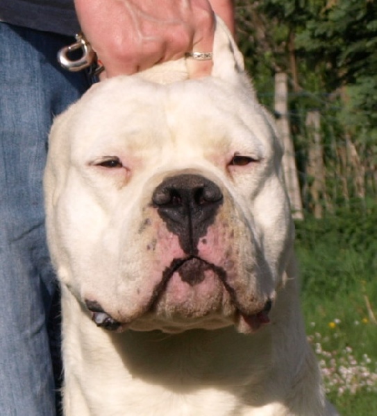 Publication : of kylian's creek Auteur : Mr Demaret ( Fayacan cahuak )