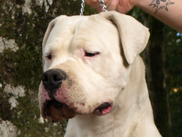 Publication : of kylian's creek Auteur : Mr Demaret ( Fayacan cahuak )