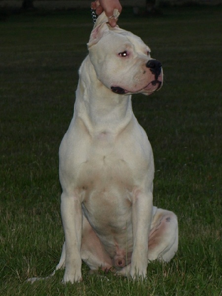 Publication : of kylian's creek Auteur : Mr Demaret ( Fayacan cahuak )