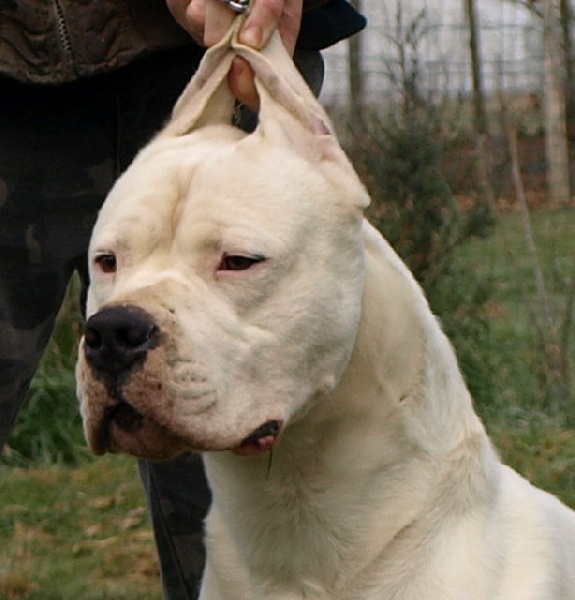 Publication : of kylian's creek Auteur : Mr Demaret ( Fayacan cahuak )