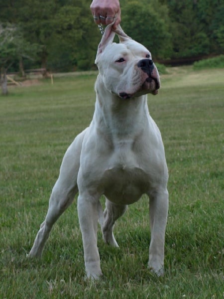 Publication : of kylian's creek Auteur : Mr Demaret ( Fayacan cahuak )