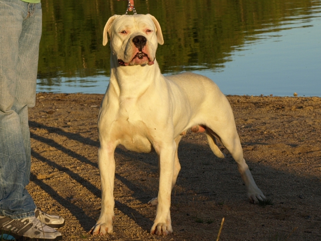 Publication : of kylian's creek Auteur : Mr Demaret ( Fayacan cahuak )