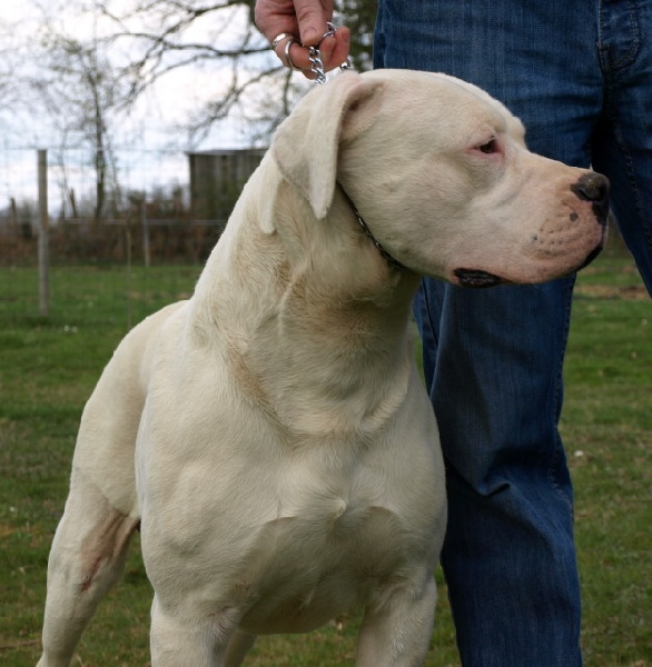 Publication : of kylian's creek Auteur : Mr Demaret ( Fayacan cahuak )