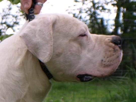 Publication : of kylian's creek Auteur : Mr Demaret ( Fayacan cahuak )