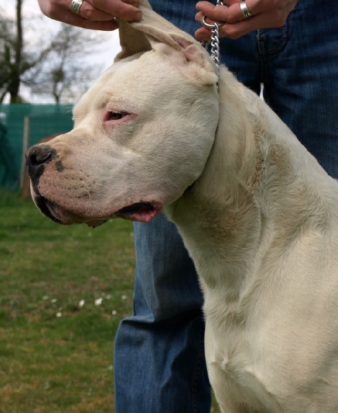 Publication : of kylian's creek Auteur : Mr Demaret ( Fayacan cahuak )