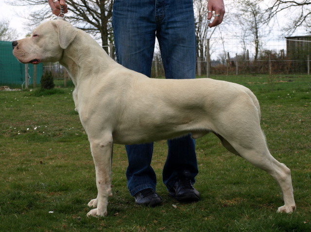 Publication : of kylian's creek Auteur : Mr Demaret ( Fayacan cahuak )