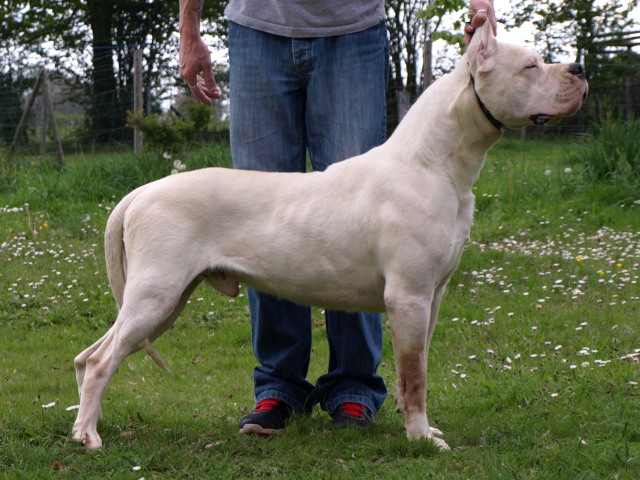 Publication : of kylian's creek Auteur : Mr Demaret ( Fayacan cahuak )