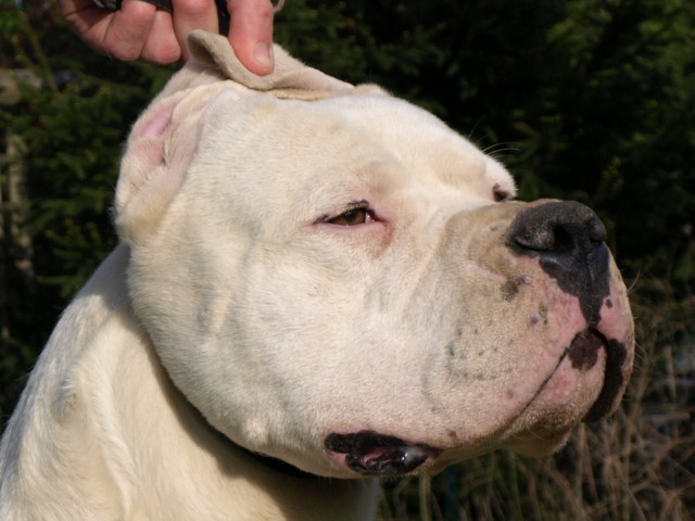 Publication : of kylian's creek Auteur : Mr Demaret ( Fayacan cahuak )