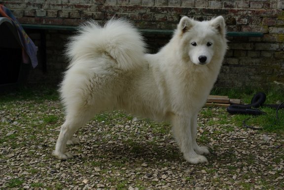 Publication : de l'éclat de Kan Auteur : Noyez Cindy