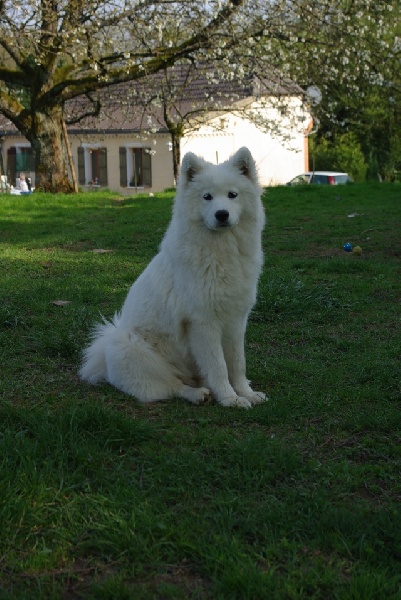 Publication : de l'éclat de Kan Auteur : Noyez Cindy