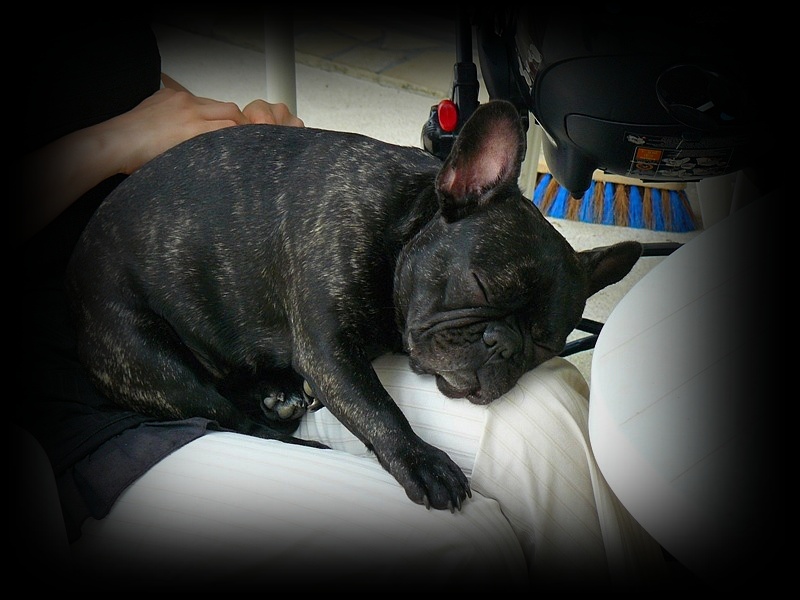 Publication : de l'Ambre d'Automne Auteur : Melle Winiger