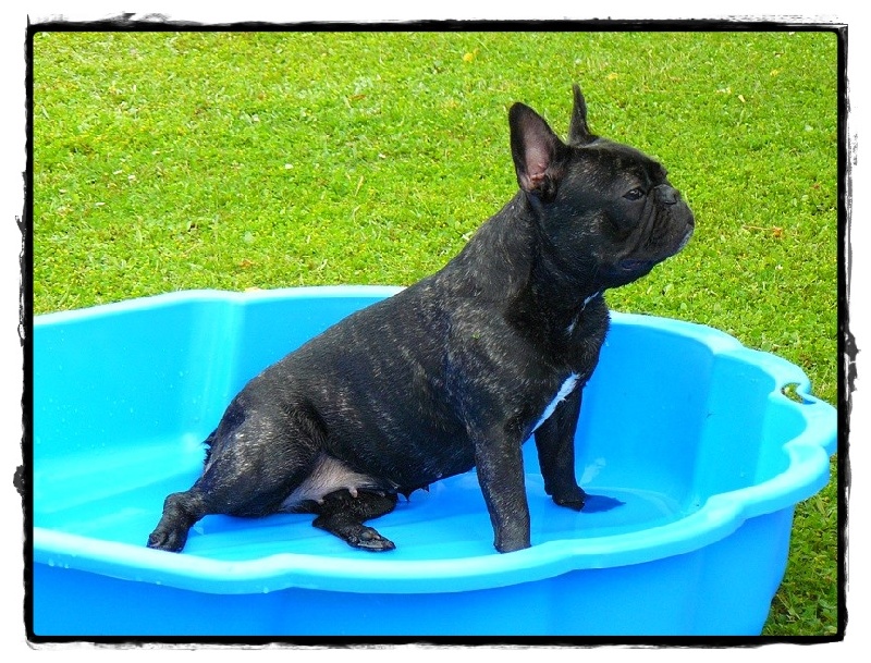 Publication : de l'Ambre d'Automne Auteur : Melle Winiger