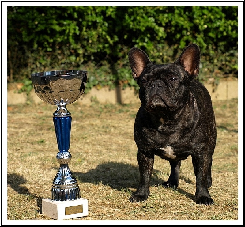 Canelle -pomme de la Légende de l'Hermine - 1ere EXC CACS