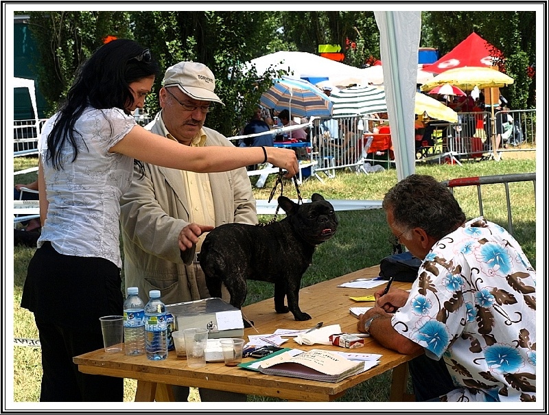 Canelle -pomme de la Légende de l'Hermine - 1ere EXC CACS