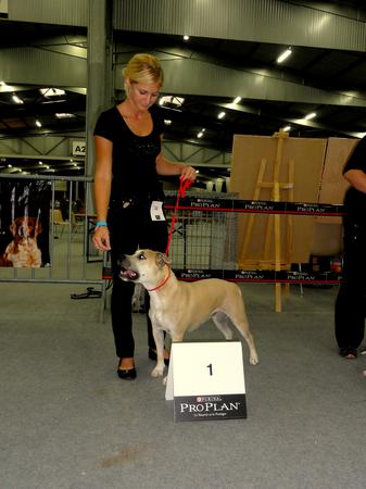 Fuel for love Straight n' Fiery