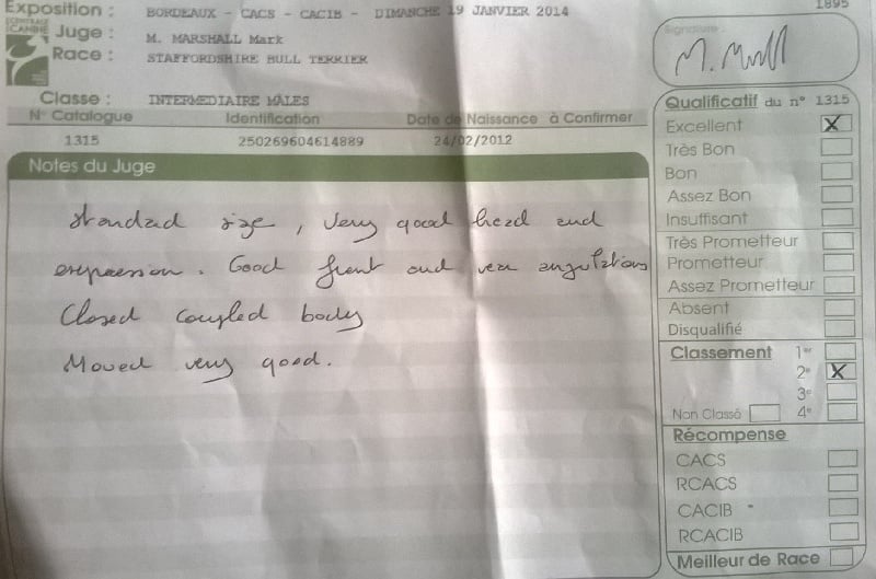 Straight n' Fiery Helium killer - 2ème excellent en classe intermédiaire