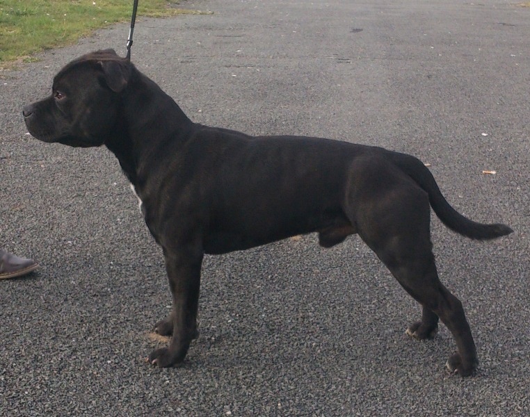 Straight n' Fiery Helium killer - 2ème TB (classe jeune)