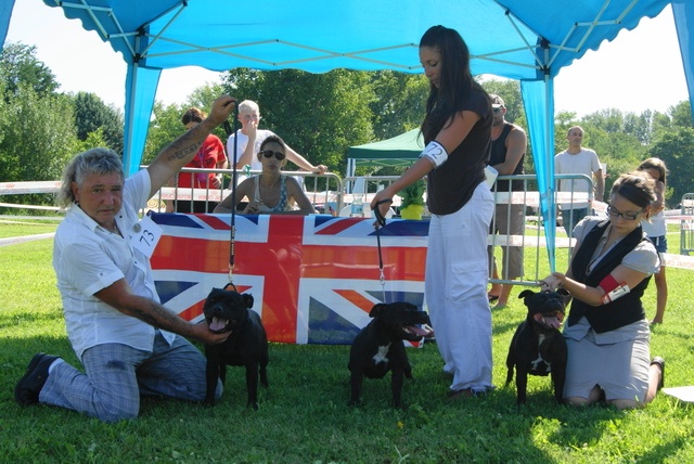 Silver Cross Devon - 2ème exc. en classe ouverte