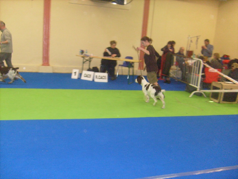 Driver in shade du bief aux ondines - 4èmé excellent CJM