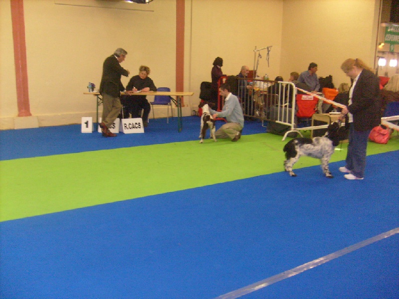 D'air et d'eau pure du bief aux ondines - 2ème Excellent CJF