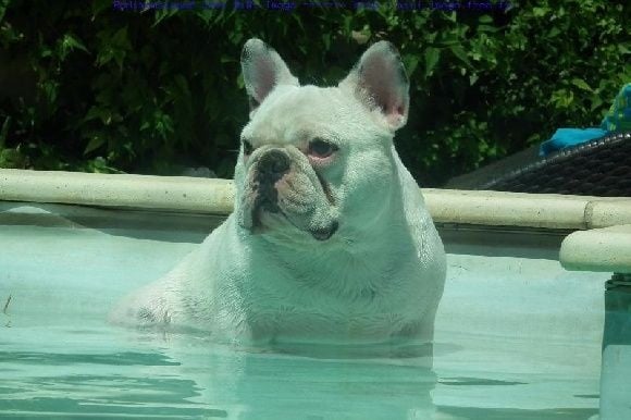 Publication : des Gamins de Rubis Auteur : Fabienne Thomas