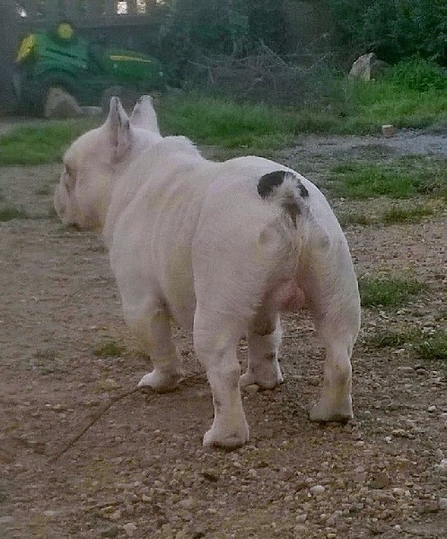 Publication : des Gamins de Rubis Auteur : Fabienne Thomas