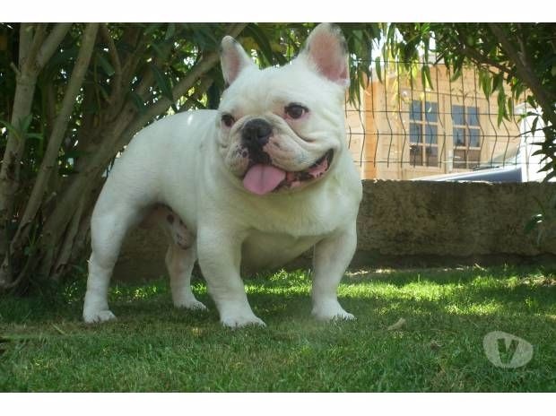 Publication : des Gamins de Rubis Auteur : Fabienne Thomas