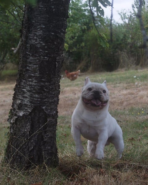 Publication : des Gamins de Rubis Auteur : Fabienne Thomas