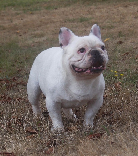 Publication : des Gamins de Rubis Auteur : Fabienne Thomas