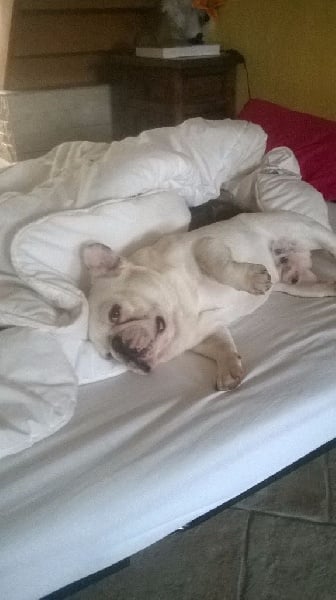 Publication : des Gamins de Rubis Auteur : Fabienne Thomas