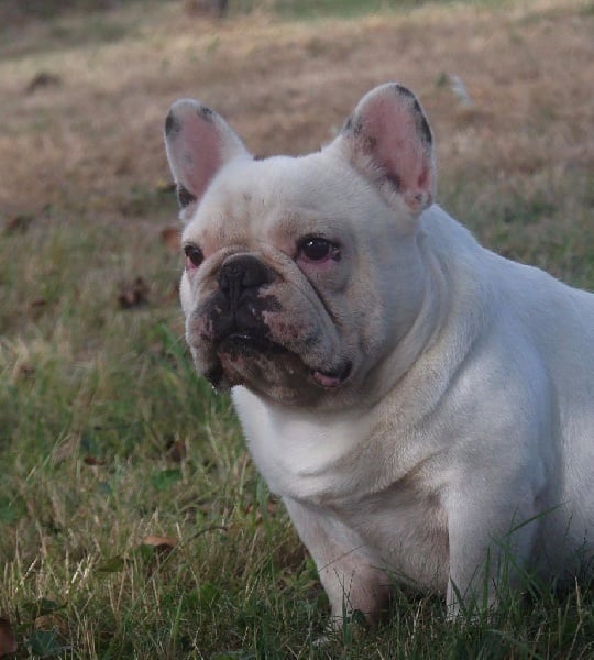 Publication : des Gamins de Rubis Auteur : Fabienne Thomas